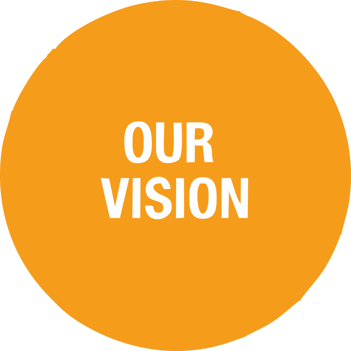 Our Vision